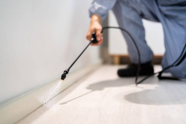 Licensed Pest Control service in Martin, SD - Show Me Pest Control