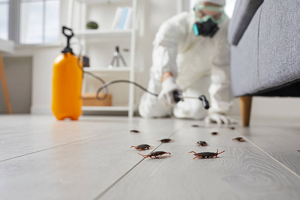 Post-Treatment Bed Bug Interceptor Monitoring in Martin